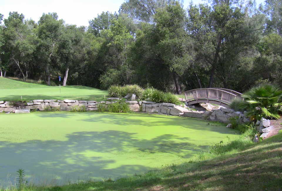 View of golf course with bridge